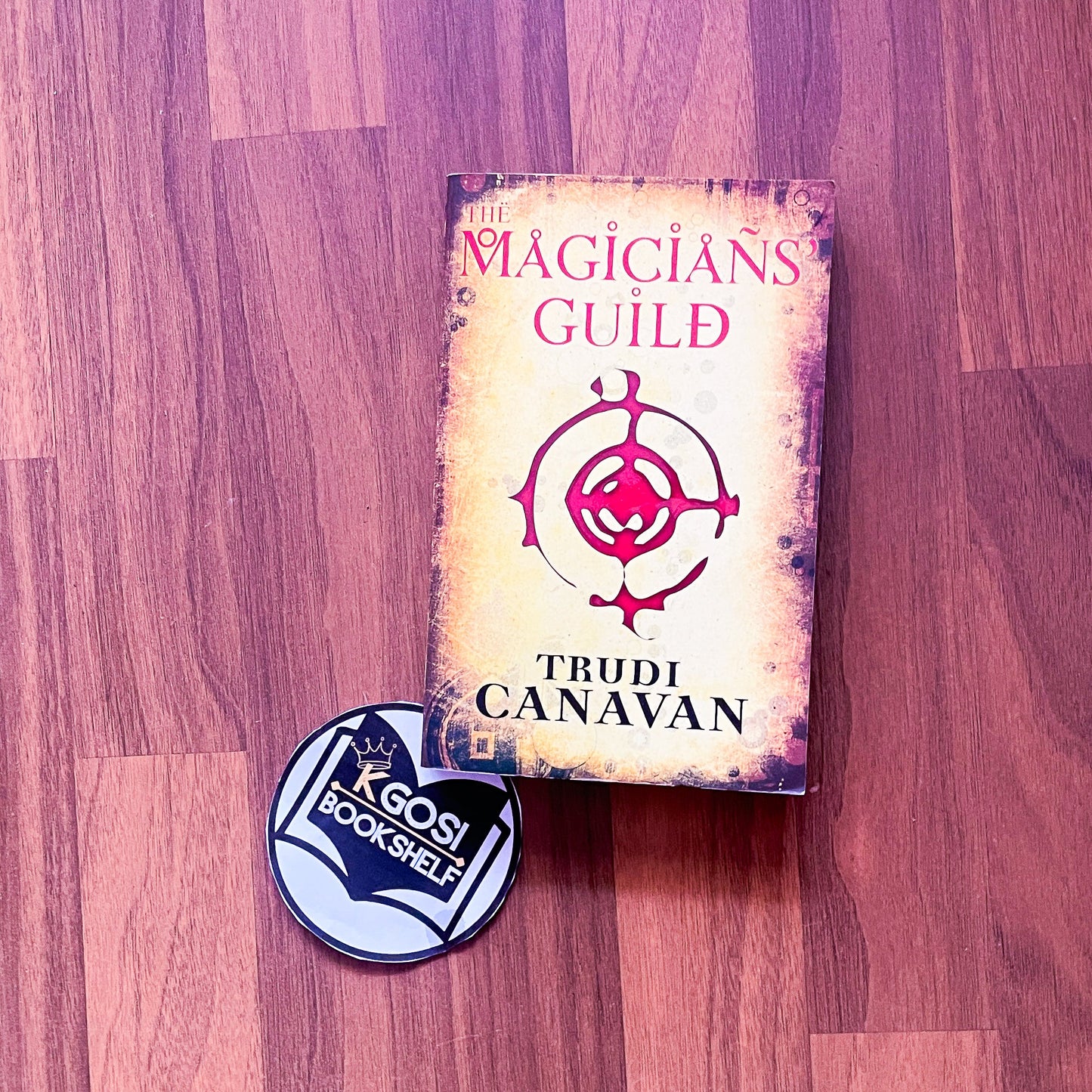 The Magician's guild - Trudi Canavan