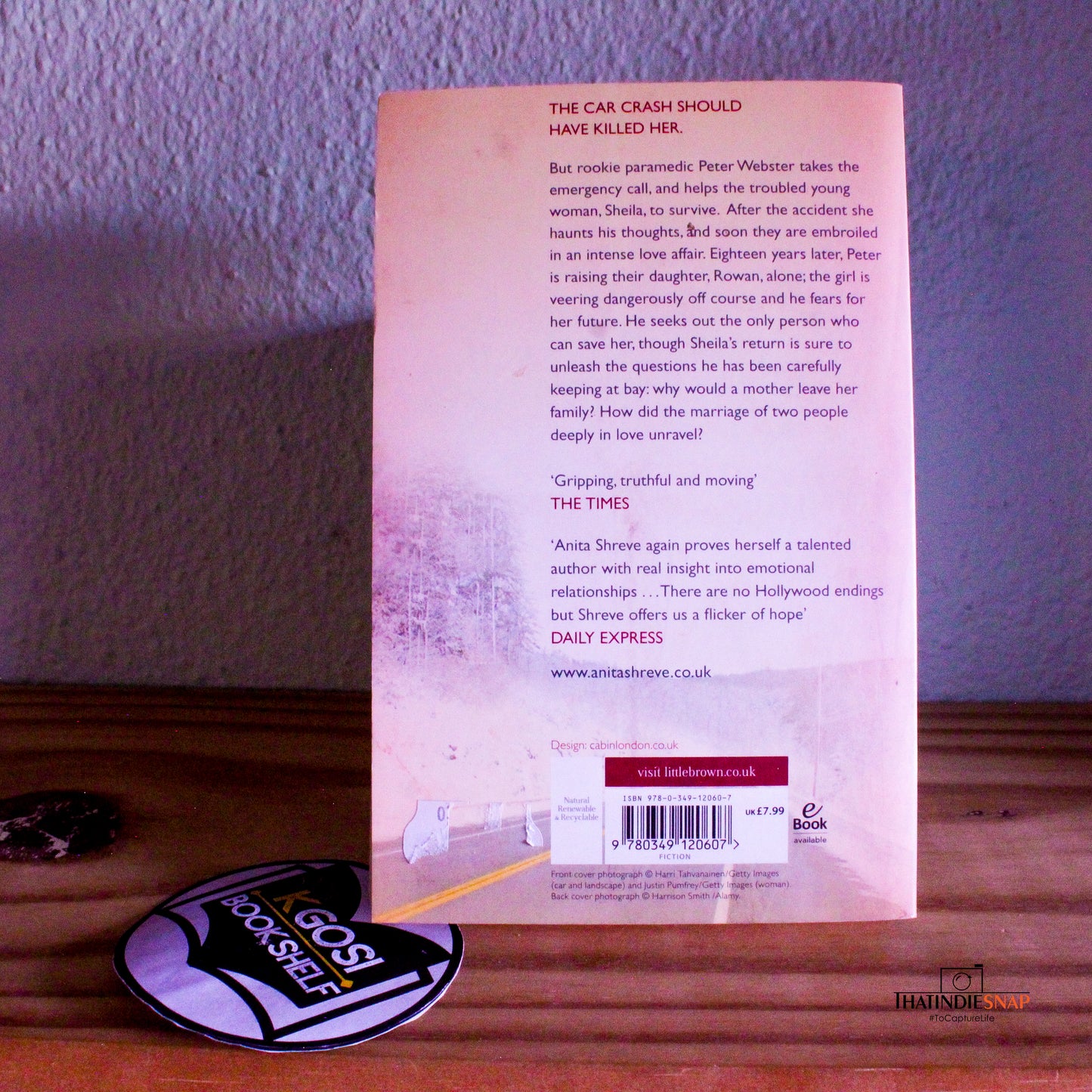Rescue - Anita Shreve