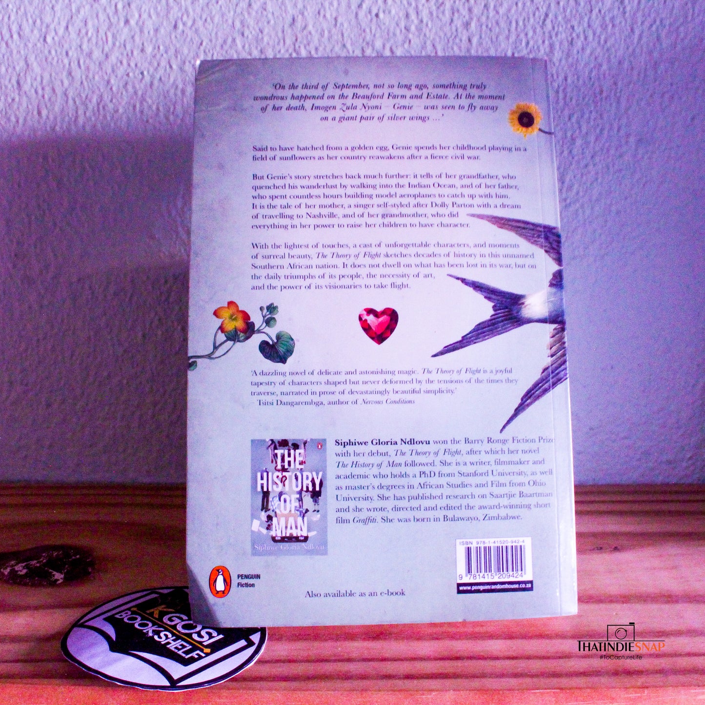 The theory of flight - Siphiwe Gloria Ndlovu