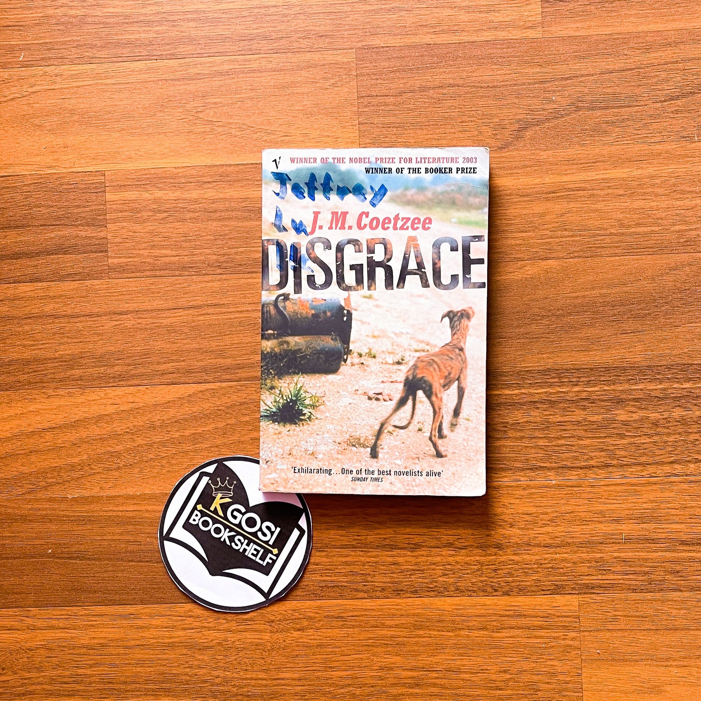 Disgrace - J.M. Coetzee