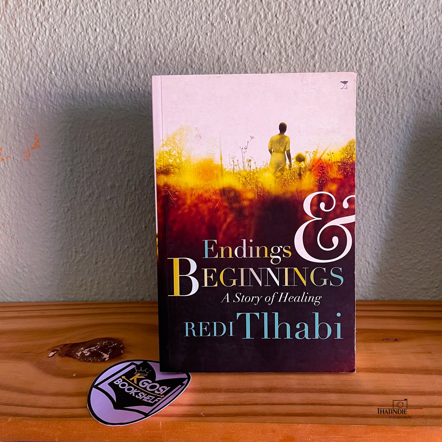 Endings & beginnings - Redi Thlabi
