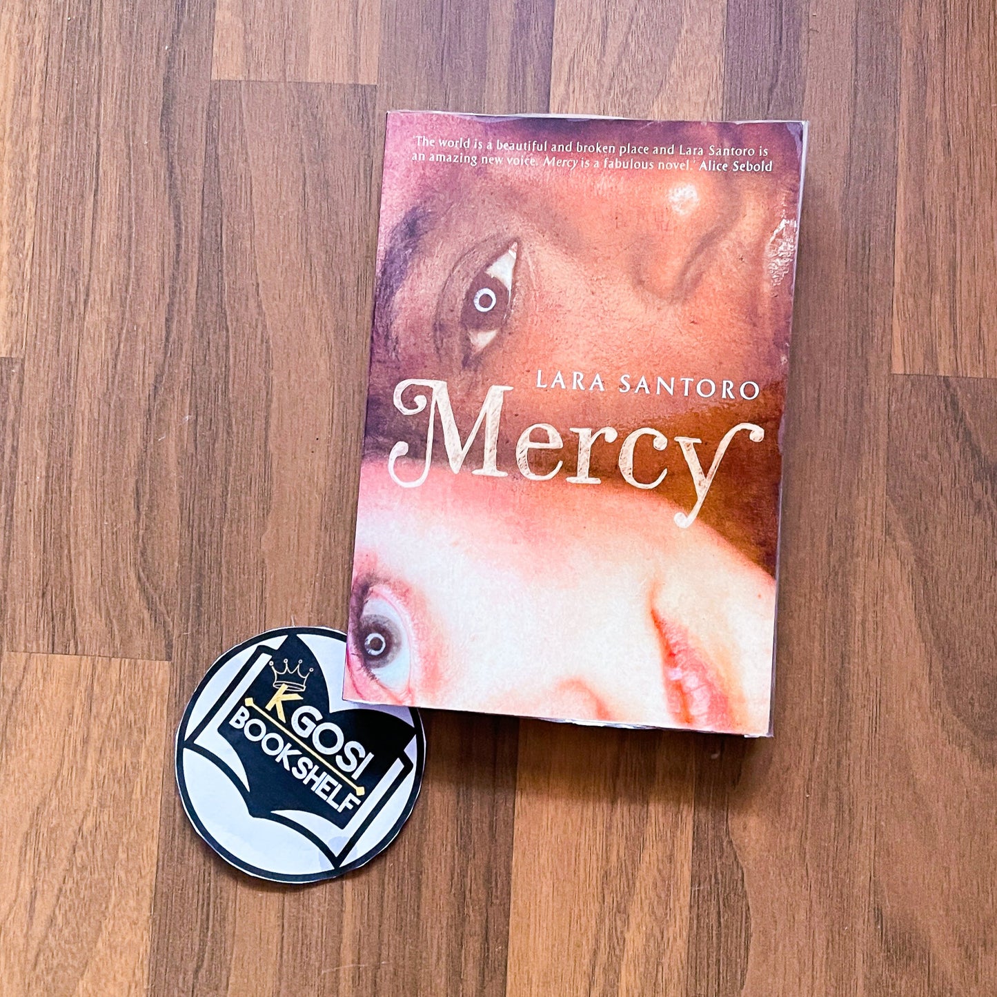 Mercy - Lara Santoro