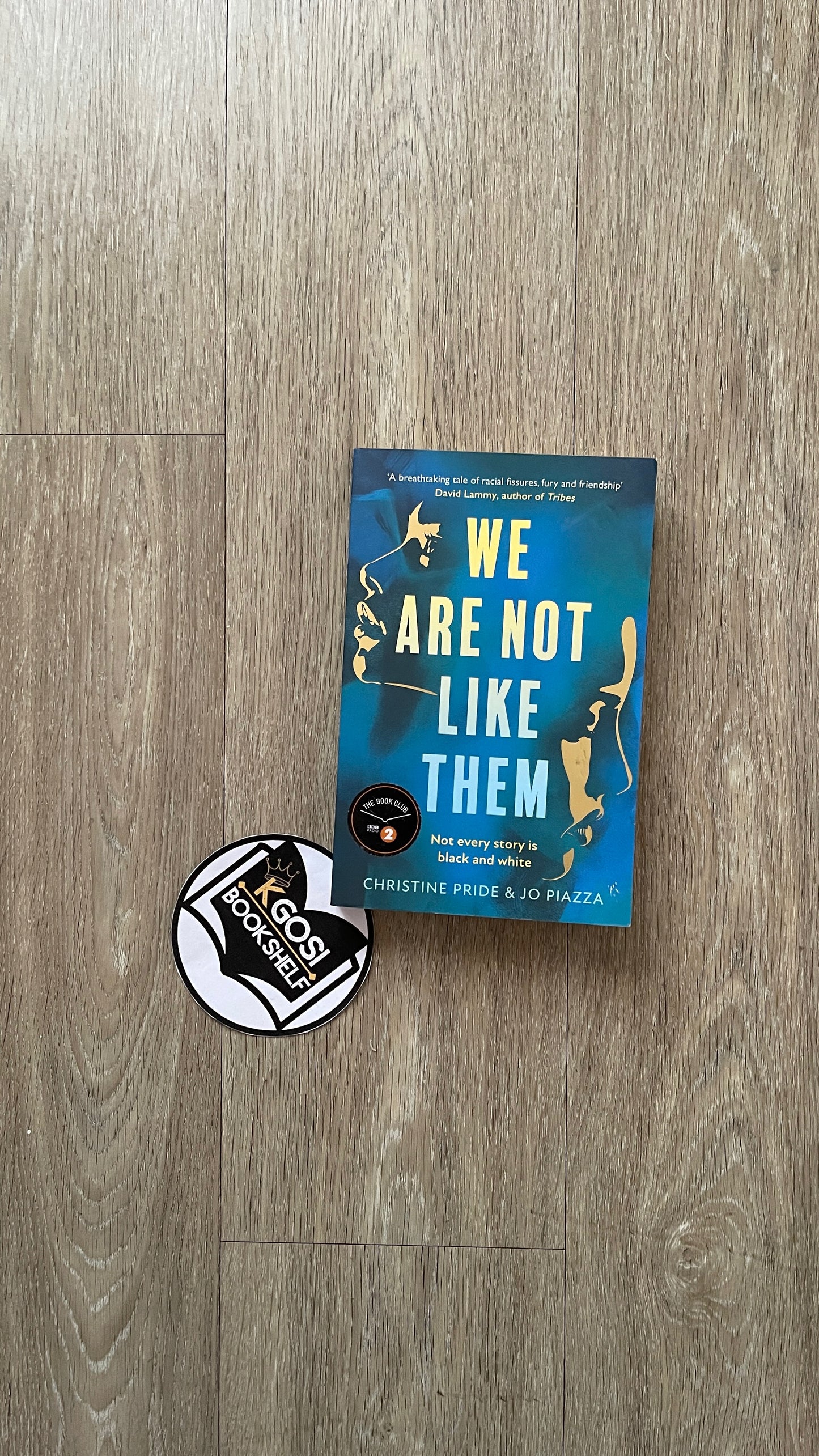 We Are Not Like Them by Christina Pride & Jo Piazza