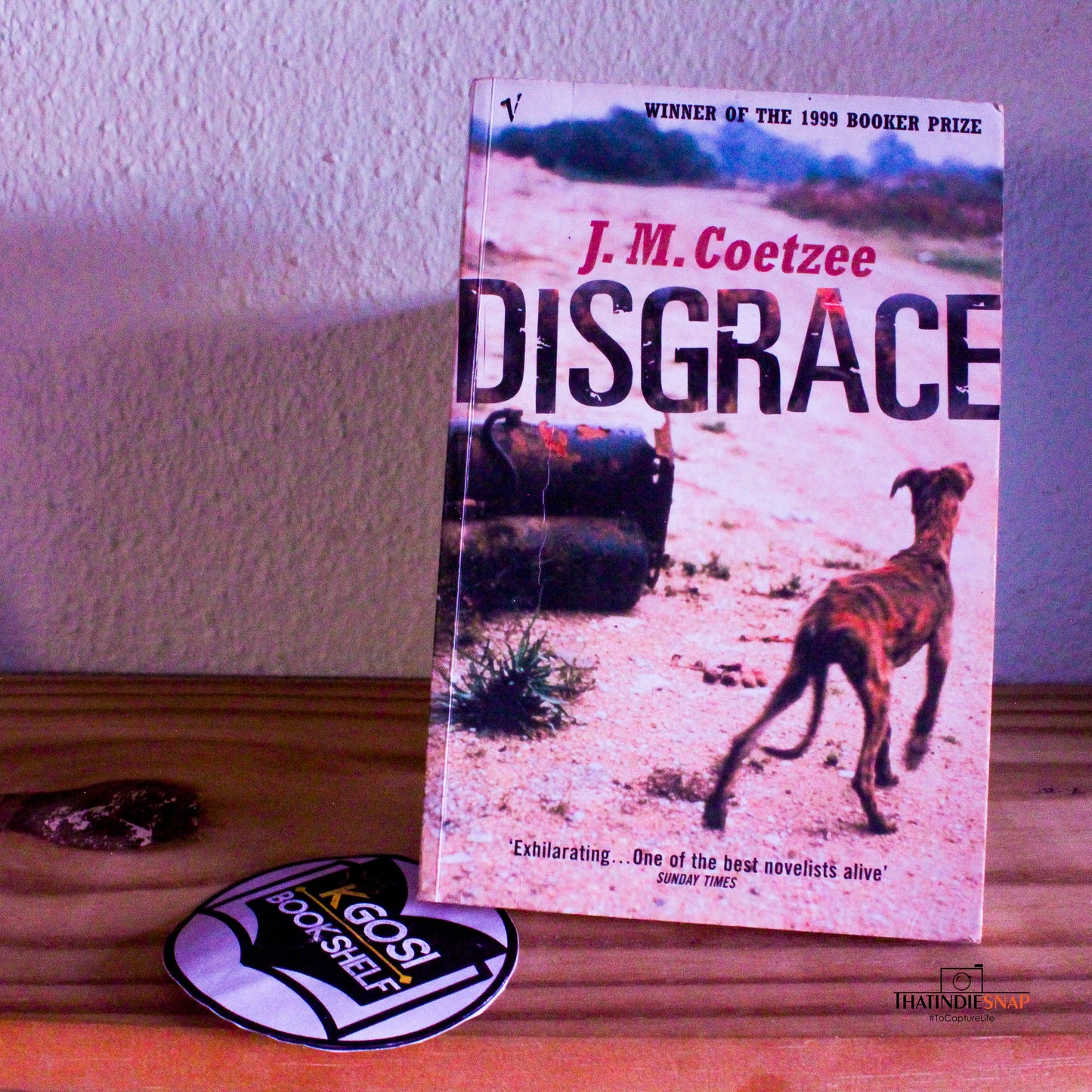 Disgrace - J.M. Coetzee