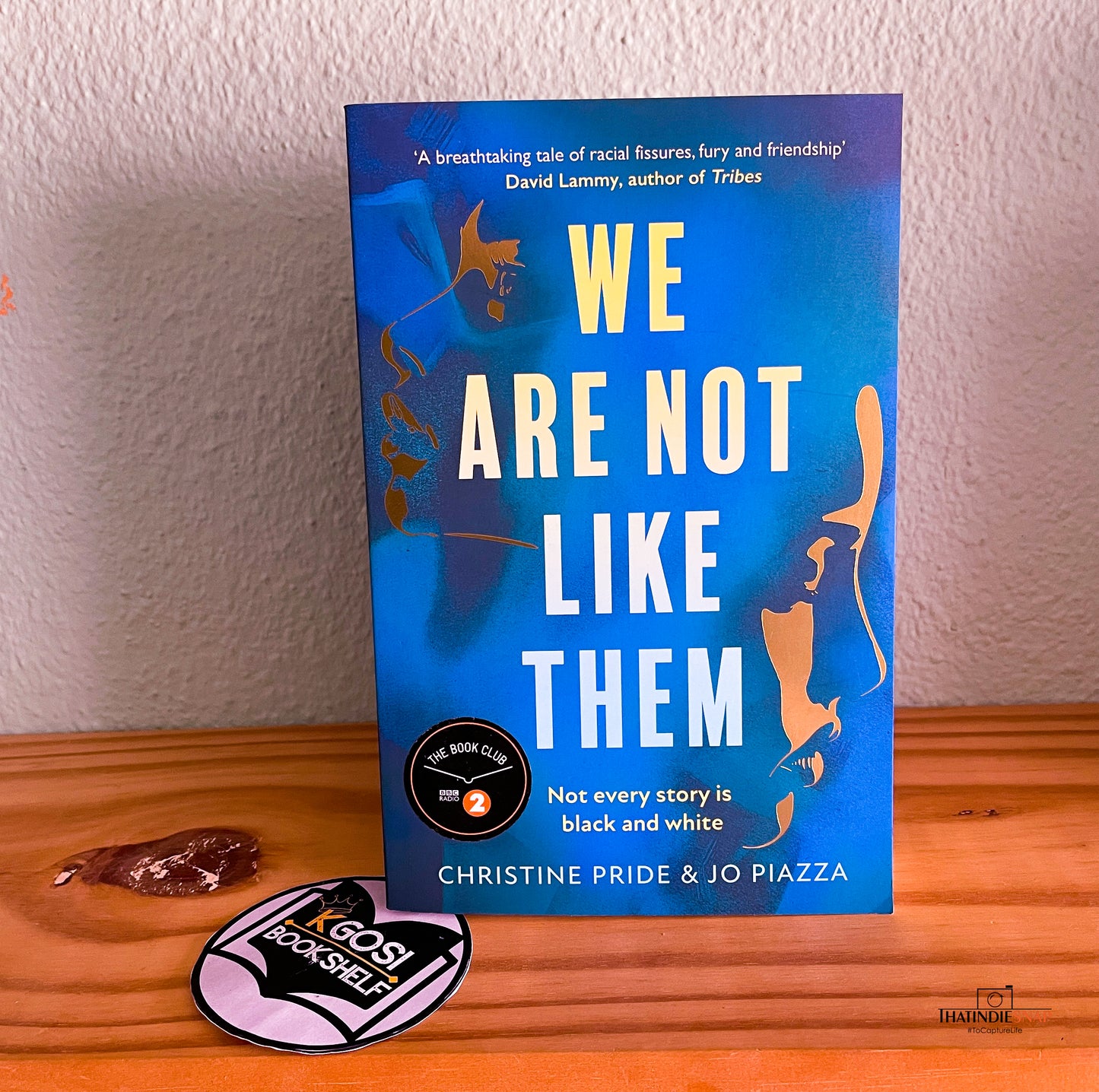 We Are Not Like Them by Christina Pride & Jo Piazza